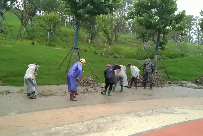 綠化人的梅雨季