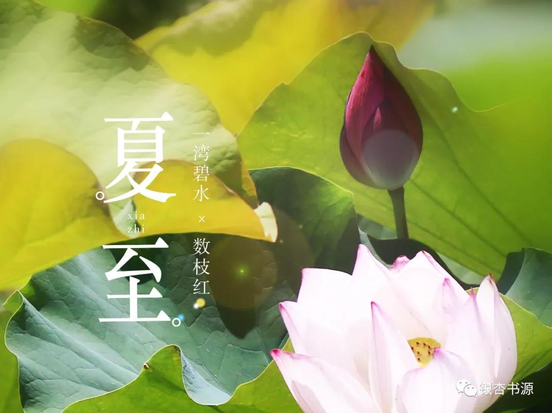 夏至古詩(shī)吟誦‖《夏至避暑北池》